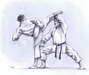 Karate by Allan Youl
